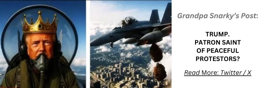 Grandpa Snarky King Trump poops on Protestors