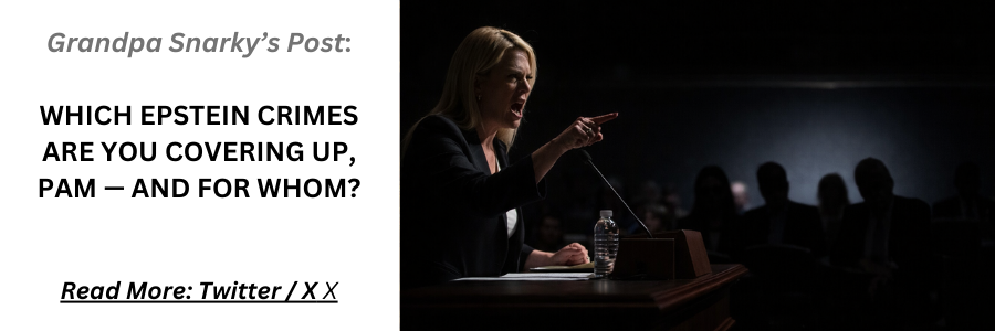 Grandpa Snarky - Pam Bondi